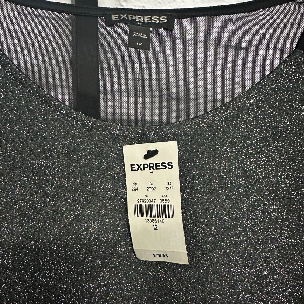 Express Sheer Shimmer Dress - NWT - Picture 4 of 5